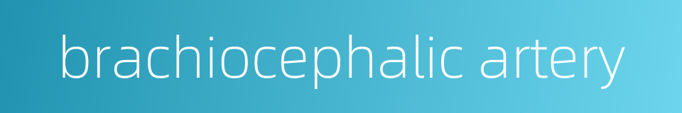 brachiocephalic artery的同义词