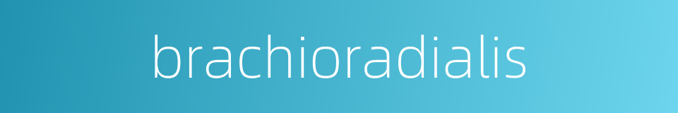 brachioradialis的同义词