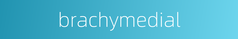 brachymedial的同义词