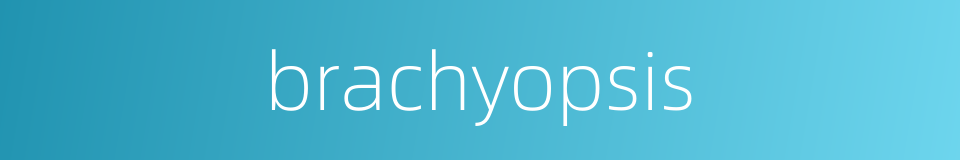 brachyopsis的同义词