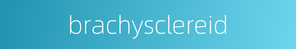 brachysclereid的同义词