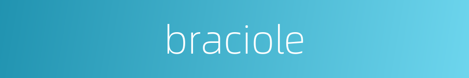 braciole的同义词