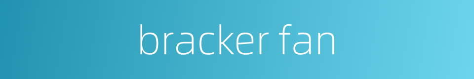 bracker fan的同义词