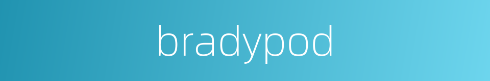 bradypod的同义词