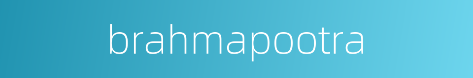 brahmapootra的同义词