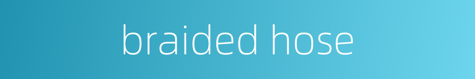 braided hose的同义词