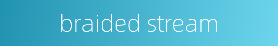 braided stream的同义词