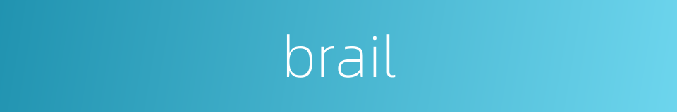 brail的同义词