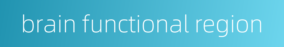 brain functional region的同义词