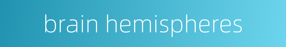 brain hemispheres的同义词