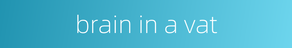 brain in a vat的同义词
