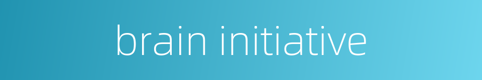 brain initiative的同义词