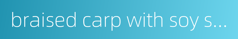 braised carp with soy sauce的同义词