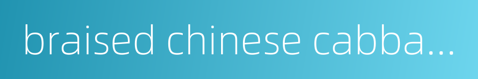 braised chinese cabbage with chestnuts的同义词