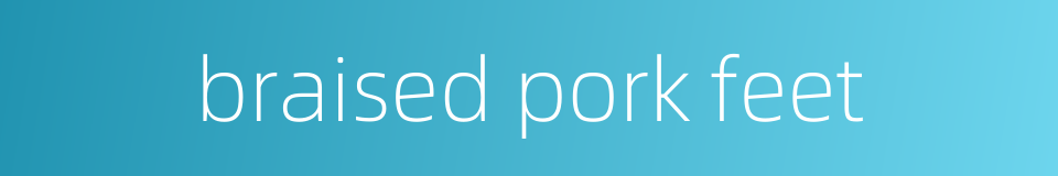 braised pork feet的同义词