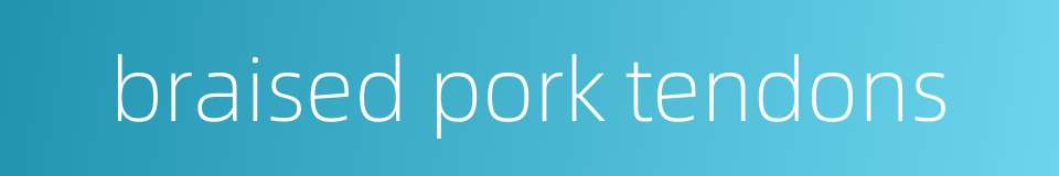 braised pork tendons的同义词