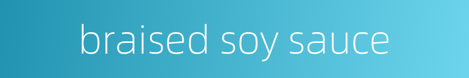 braised soy sauce的同义词