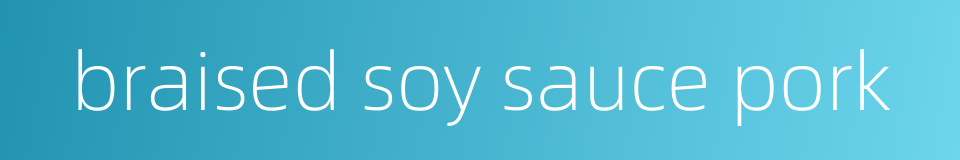 braised soy sauce pork的同义词