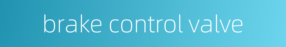 brake control valve的同义词