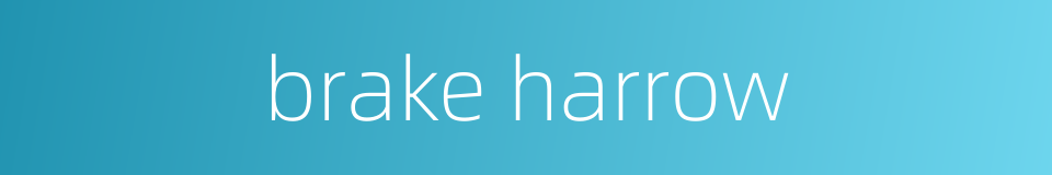 brake harrow的同义词