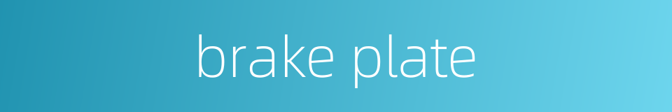 brake plate的同义词