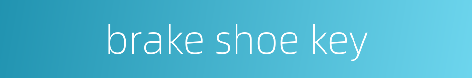 brake shoe key的同义词
