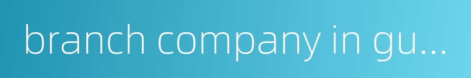 branch company in guangzhou的同义词