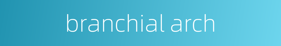 branchial arch的同义词