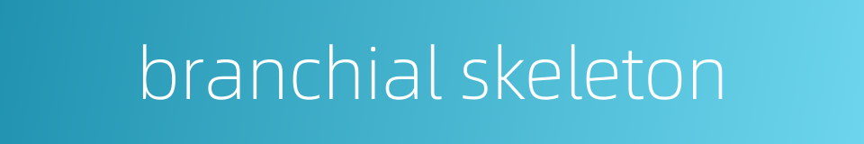 branchial skeleton的同义词
