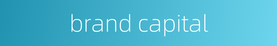 brand capital的同义词