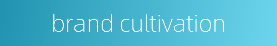 brand cultivation的同义词