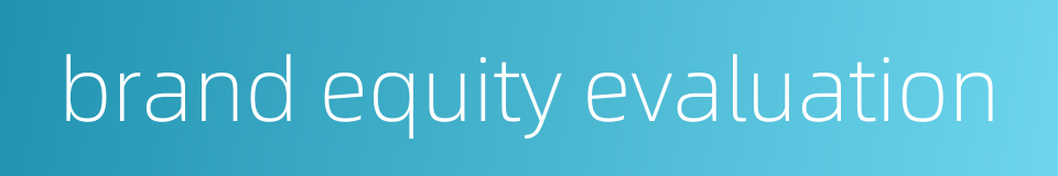 brand equity evaluation的同义词