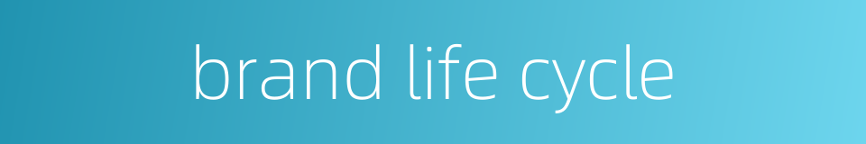 brand life cycle的同义词
