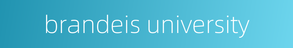 brandeis university的同义词