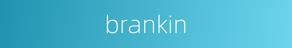 brankin的同义词