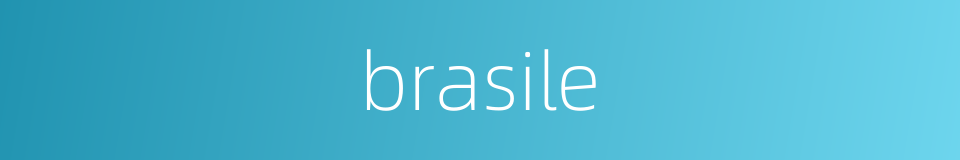 brasile的同义词