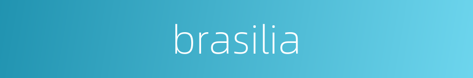 brasilia的意思