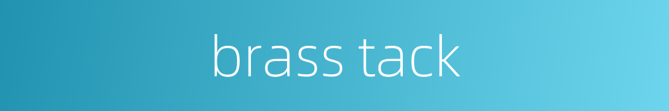 brass tack的同义词