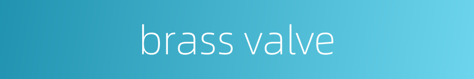 brass valve的同义词