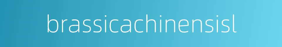 brassicachinensisl的同义词