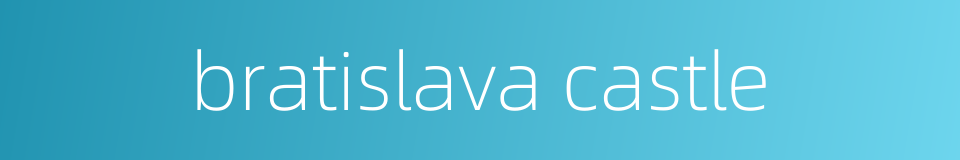 bratislava castle的同义词