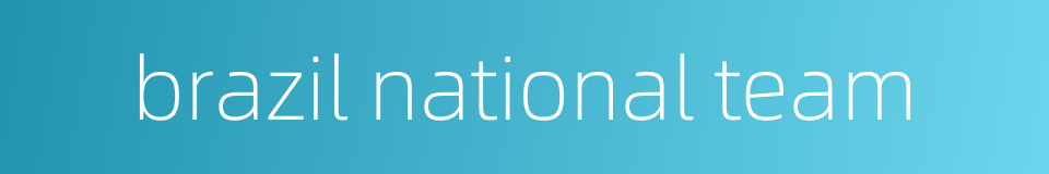 brazil national team的同义词