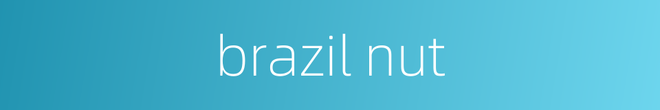 brazil nut的同义词