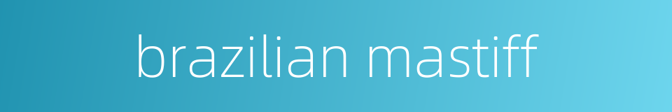 brazilian mastiff的同义词