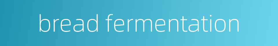 bread fermentation的同义词