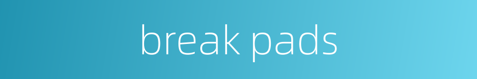 break pads的同义词