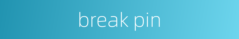 break pin的同义词