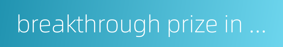 breakthrough prize in mathematics的同义词