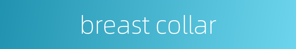 breast collar的同义词