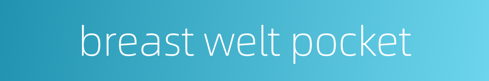 breast welt pocket的同义词